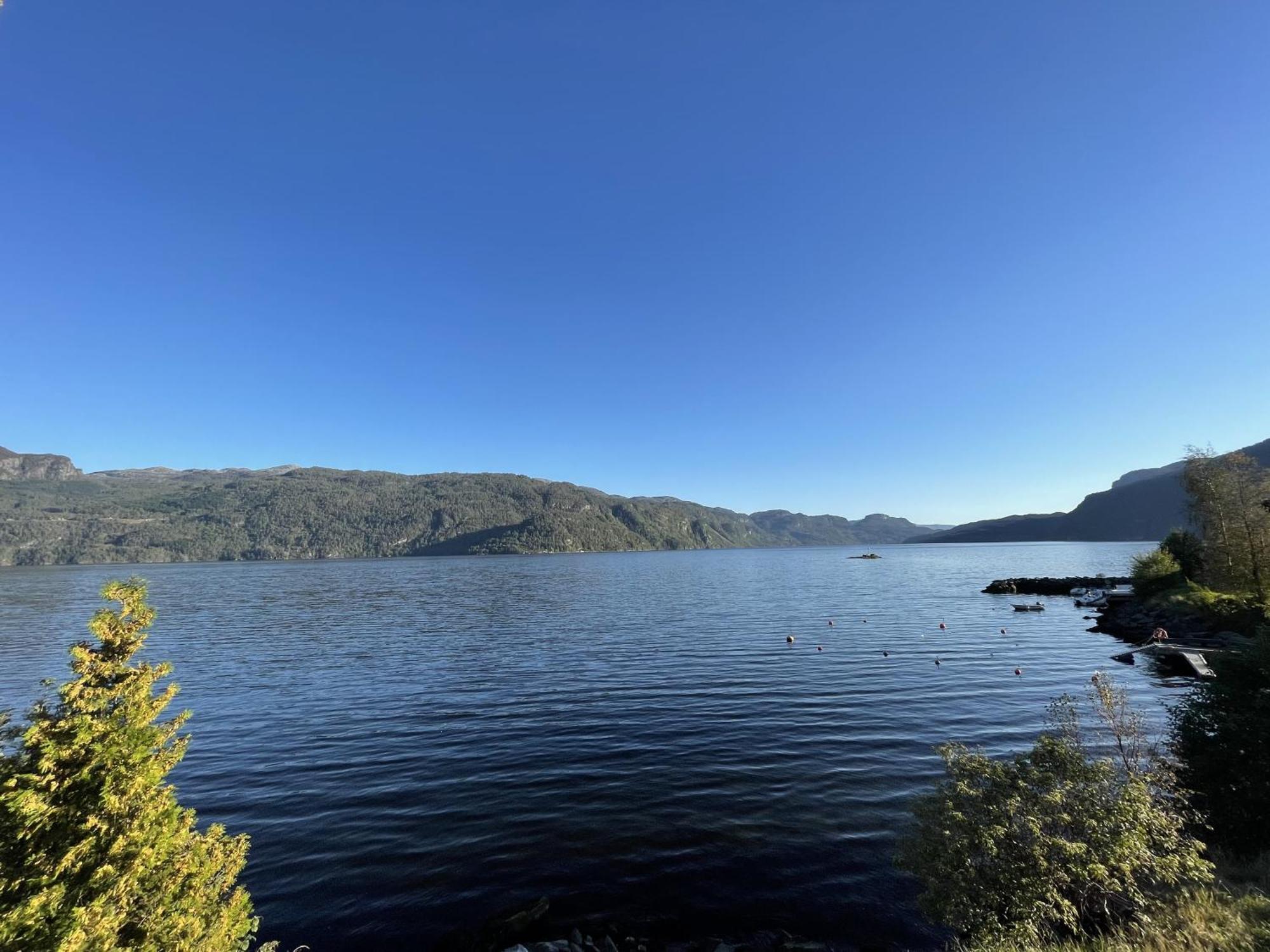 Saudasjøen Sauda Fjord Camping מראה חיצוני תמונה